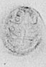 Eget segl benyttet 5. november 1623 (Vedlegg x til Fogderegnskap Moss 1623-24)