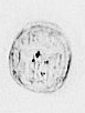 Eget segl benyttet 3. desember 1630 (Vedlegg x til Lanskatt Verne kloster 1630)