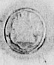 Eget segl benyttet 28. mars 1627 (Vedlegg x til Fogderegnskap Moss 1626-27)