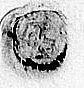 Eget segl benyttet 6. august 1627 (Vedlegg x til Fogderegnskap Moss 1627-28)
