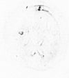 Eget segl benyttet 15. april 1626 (Vedlegg x til Fogderegnskap Moss 1625-26)